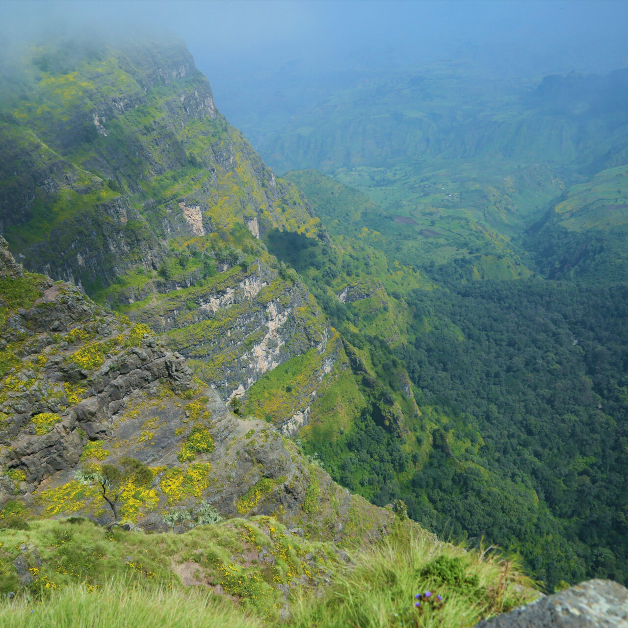 https://maheletethiopiatours.com/wp-content/uploads/2025/01/Simien-Mountains-1-1280x1280.jpeg